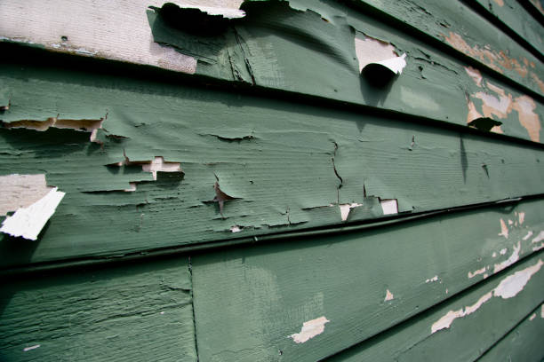 Best Wood Siding Installation  in Andrews, NC