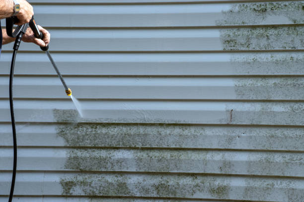 Best Steel Siding Installation  in Andrews, NC