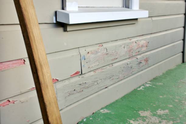 Best Historical Building Siding Restoration  in Andrews, NC